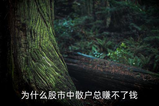 為什么股市中散戶總賺不了錢