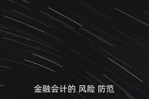 金融會計(jì)的 風(fēng)險(xiǎn) 防范