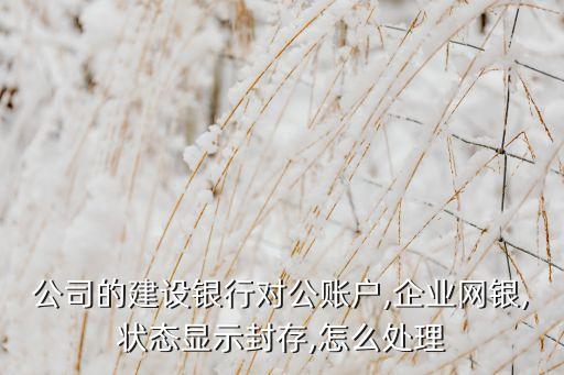 中國建設銀行的安全措施