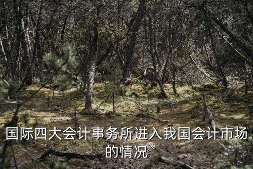 國(guó)際四大會(huì)計(jì)事務(wù)所進(jìn)入我國(guó)會(huì)計(jì)市場(chǎng)的情況