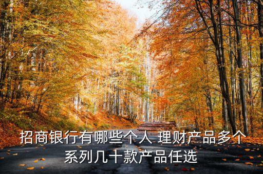  招商銀行有哪些個人 理財產(chǎn)品多個系列幾十款產(chǎn)品任選