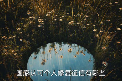 國家認(rèn)可個(gè)人修復(fù)征信有哪些