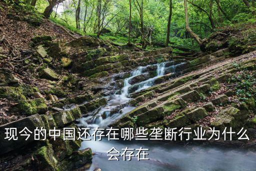 現(xiàn)今的中國還存在哪些壟斷行業(yè)為什么會(huì)存在