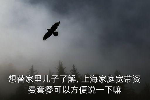 上海聯(lián)通4g用戶人數(shù)