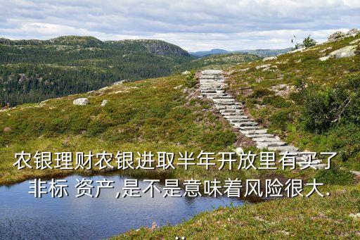 農(nóng)商行可以投資非標資產(chǎn)