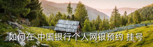 如何在 中國銀行個人網銀預約 掛號