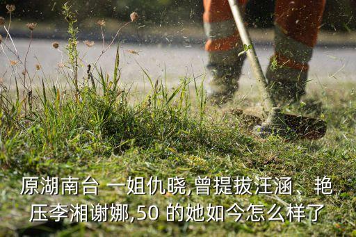 原湖南臺 一姐仇曉,曾提拔汪涵、艷壓李湘謝娜,50 的她如今怎么樣了