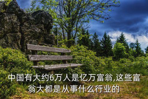 中國有大約6萬人是億萬富翁,這些富翁大都是從事什么行業(yè)的