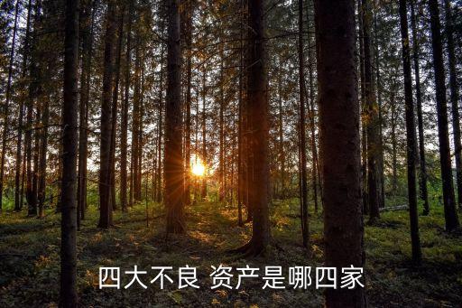 四大不良 資產(chǎn)是哪四家