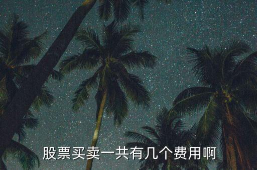  股票買(mǎi)賣(mài)一共有幾個(gè)費(fèi)用啊