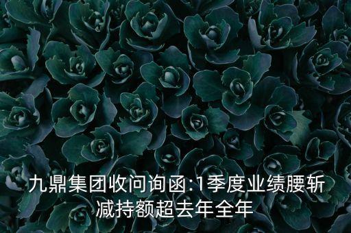  九鼎集團(tuán)收問詢函:1季度業(yè)績(jī)腰斬減持額超去年全年