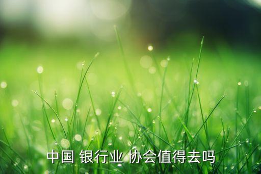 中國 銀行業(yè) 協(xié)會(huì)值得去嗎