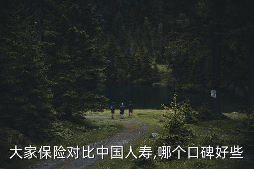 大家保險(xiǎn)對(duì)比中國人壽,哪個(gè)口碑好些