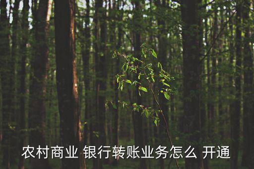 東莞農(nóng)商銀行網(wǎng)銀開(kāi)通,農(nóng)商銀行網(wǎng)銀怎么開(kāi)通