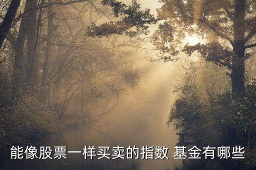 基金大全,基金術(shù)語解釋大全