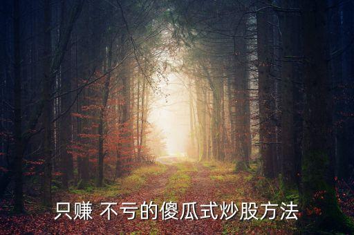 只賺 不虧的傻瓜式炒股方法