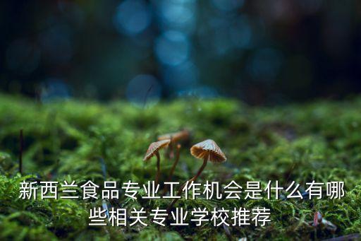  新西蘭食品專業(yè)工作機會是什么有哪些相關專業(yè)學校推薦