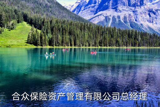 合眾保險(xiǎn)資產(chǎn)管理有限公司總經(jīng)理
