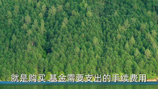 就是購(gòu)買 基金需要支出的手續(xù)費(fèi)用