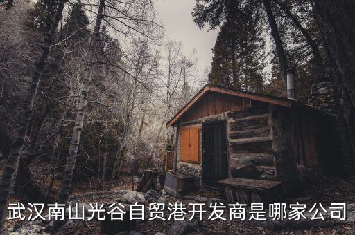 武漢南山光谷自貿港開發(fā)商是哪家公司