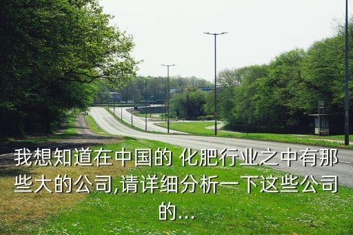 我想知道在中國的 化肥行業(yè)之中有那些大的公司,請詳細(xì)分析一下這些公司的...