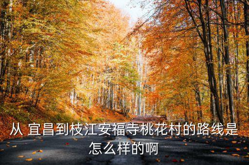 從 宜昌到枝江安福寺桃花村的路線是怎么樣的啊
