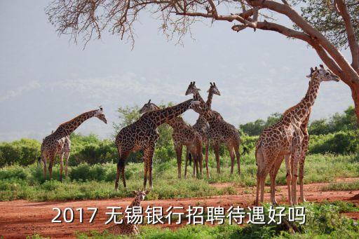 無錫農(nóng)村商業(yè)銀行工資,農(nóng)村商業(yè)銀行工資流水賬單怎么打