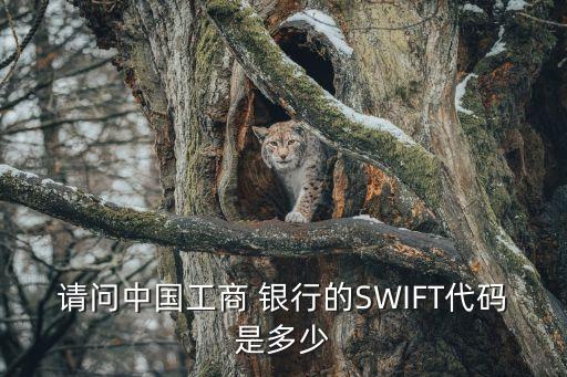 請問中國工商 銀行的SWIFT代碼是多少