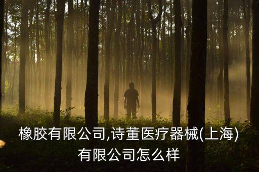詩董橡膠有限公司,詩董醫(yī)療器械(上海)有限公司怎么樣