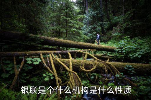  銀聯(lián)是個什么機構(gòu)是什么性質(zhì)