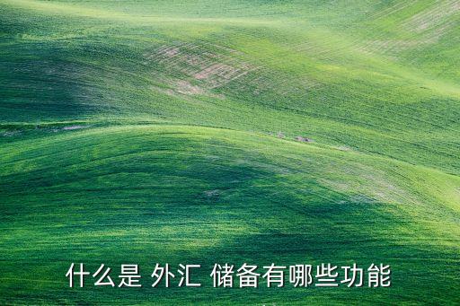 英國外匯儲備投資,2022英國外匯儲備