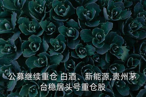 公募繼續(xù)重倉 白酒、新能源,貴州茅臺(tái)穩(wěn)居頭號(hào)重倉股