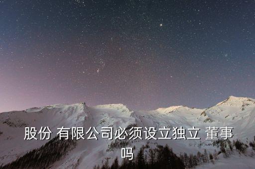  股份 有限公司必須設立獨立 董事嗎