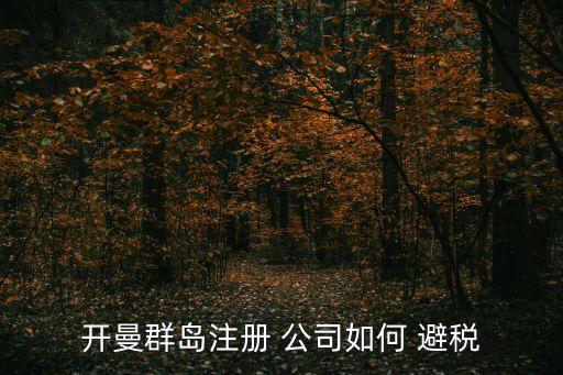 開(kāi)曼群島注冊(cè) 公司如何 避稅