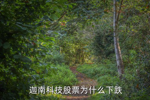 迦南科技股票為什么下跌