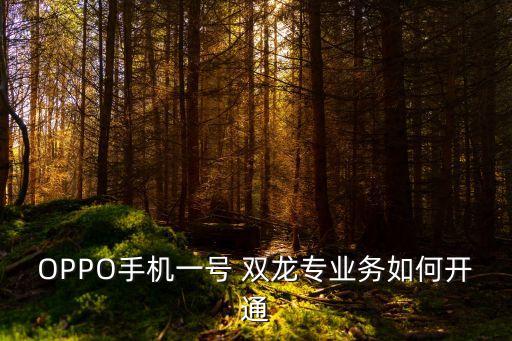 OPPO手機一號 雙龍專業(yè)務(wù)如何開通