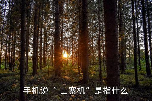 手機(jī)說(shuō)“ 山寨機(jī)”是指什么