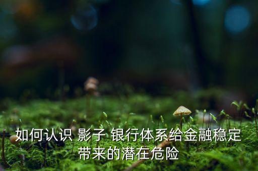 加強對影子銀行系統(tǒng)的監(jiān)管,如何加強對影子銀行的監(jiān)管