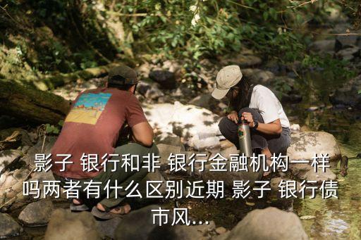  影子 銀行和非 銀行金融機(jī)構(gòu)一樣嗎兩者有什么區(qū)別近期 影子 銀行債市風(fēng)...