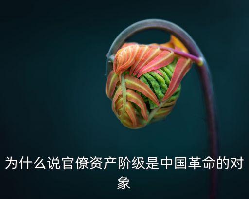 為什么說官僚資產(chǎn)階級是中國革命的對象