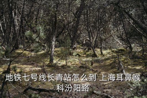 地鐵七號(hào)線長(zhǎng)青站怎么到 上海耳鼻喉科汾陽(yáng)路