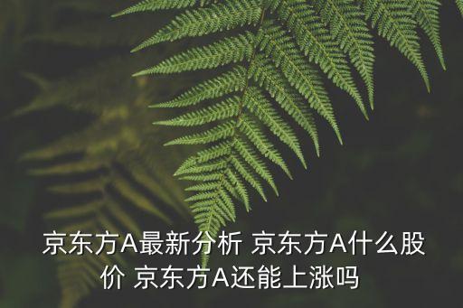  京東方A最新分析 京東方A什么股價 京東方A還能上漲嗎
