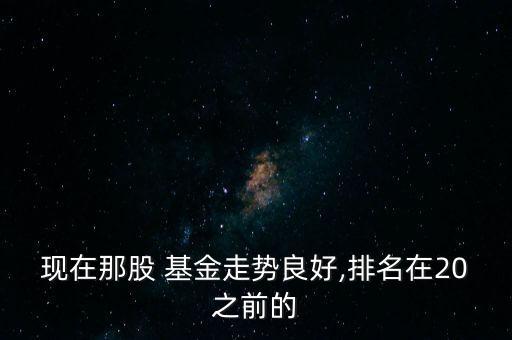 現(xiàn)在那股 基金走勢良好,排名在20之前的