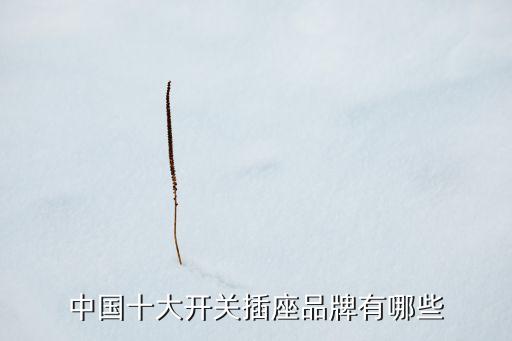 中國(guó)十大開關(guān)插座品牌有哪些