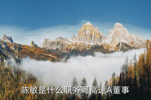 陳敏是什么職務粵高速A董事