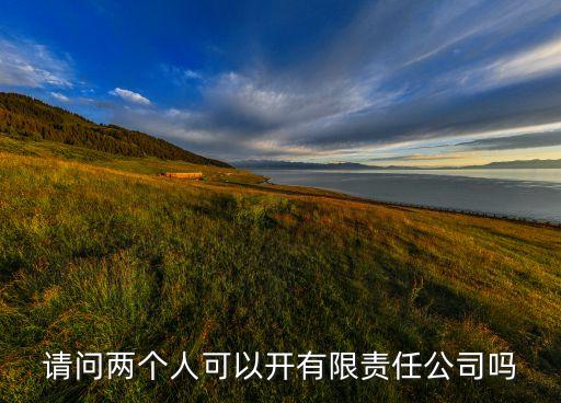 請問兩個人可以開有限責(zé)任公司嗎