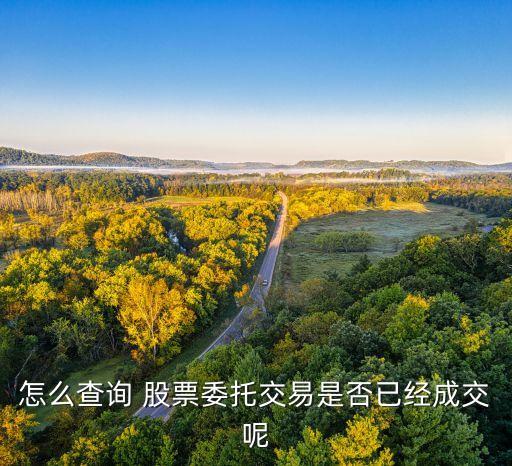 怎么查詢 股票委托交易是否已經(jīng)成交呢
