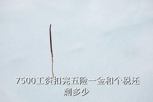  7500工資扣完五險(xiǎn)一金和個(gè)稅還剩多少