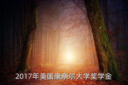 2017年美國康奈爾大學(xué)獎學(xué)金