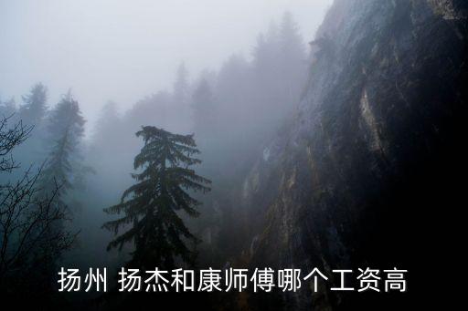 揚州 揚杰和康師傅哪個工資高
